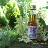 Flasche Holunderblütenextrakt in Holunderblüte im Garten