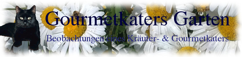 Header Blog Garten Header Blog Garten